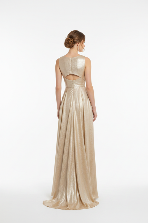 Champagne gold formal evening dress - back white background